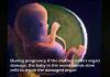 During pregnancy if mother suffers organ damage, the baby in the...