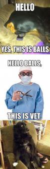 Hello Yes this is dog balls on mobile 