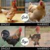 The difference between a married man and woman