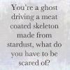 You're a ghost drivng a meat coated skeleton made from stardust