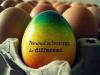 Normal is boring