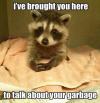 Raccoon - I